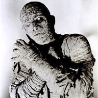 Meet the new team member